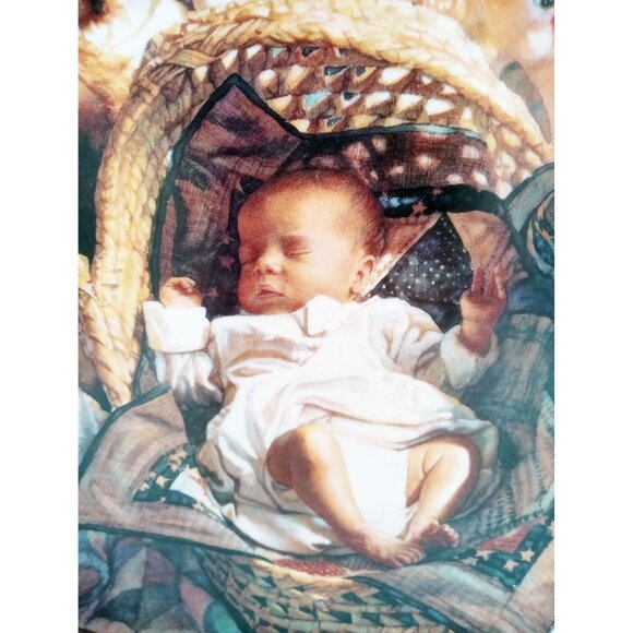 Steve Hanks "The New Arrival" Collector Plate 1994 Hadley House Limited Edition - Picture 6 of 14